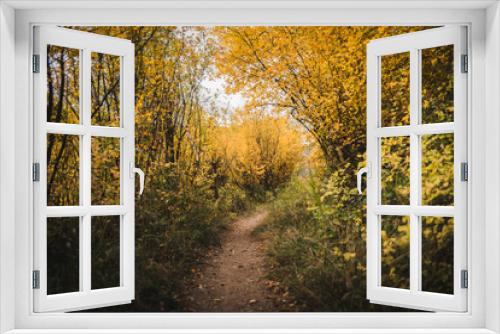 Fototapeta Naklejka Na Ścianę Okno 3D - A trail covered in fall foliage in Vail, Colorado. 