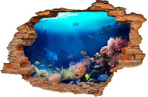 Underwater view of the coral reef. Ecosystem. Life in tropical waters.