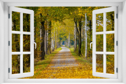 Fototapeta Naklejka Na Ścianę Okno 3D - Picturesque shot of a beautiful empty walkway on a perfect day in autumn.