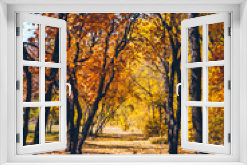 Fototapeta Naklejka Na Ścianę Okno 3D - view of autumn city park yellow trees