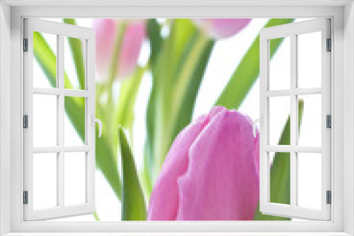 Fototapeta Naklejka Na Ścianę Okno 3D - pink tulips