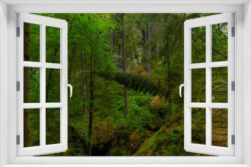 Fototapeta Naklejka Na Ścianę Okno 3D - Valley Kyjov (Kyjovské údolí) - Bohemian Switzerland National Park