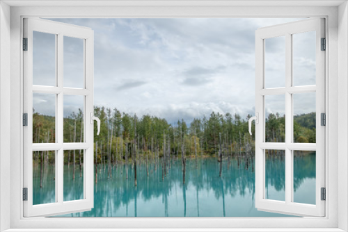 Fototapeta Naklejka Na Ścianę Okno 3D - 青い池