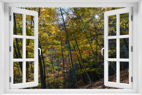 Fototapeta Naklejka Na Ścianę Okno 3D - 妙義山の森の紅葉
