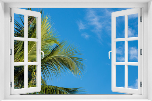 Fototapeta Naklejka Na Ścianę Okno 3D - coconut tree on blue sky.
