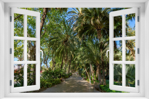 Fototapeta Naklejka Na Ścianę Okno 3D - Sidewalk on the Paseo del Parque in Malaga, Spain with palm tree jungle