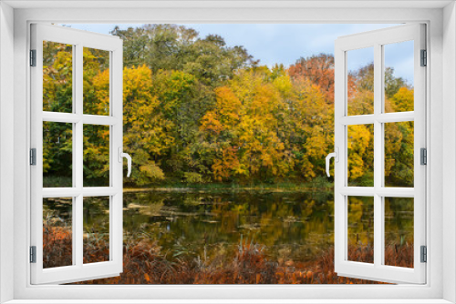 Fototapeta Naklejka Na Ścianę Okno 3D - Very nice scenery in the fall. Lake and forest in autumn. Natural colors