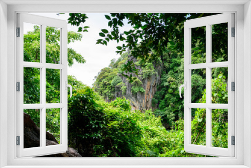 Fototapeta Naklejka Na Ścianę Okno 3D - trees in tropical forest