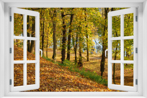 Fototapeta Naklejka Na Ścianę Okno 3D - autumn colors