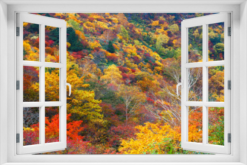 Fototapeta Naklejka Na Ścianę Okno 3D - 安達太良山（日本）の紅葉
