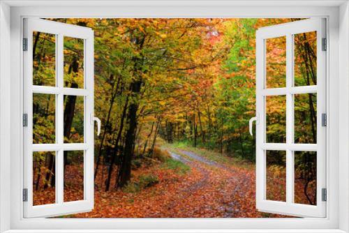 Fototapeta Naklejka Na Ścianę Okno 3D - Scenic road through Quebec countryside in autumn time