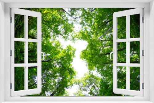Fototapeta Naklejka Na Ścianę Okno 3D - View on top of trees