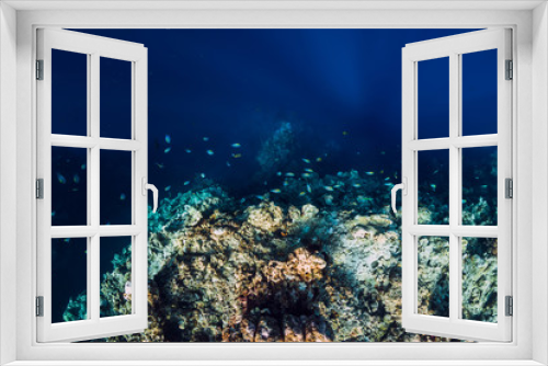 Fototapeta Naklejka Na Ścianę Okno 3D - Underwater view with rocks and corals in transparent blue ocean. Underwater landscape