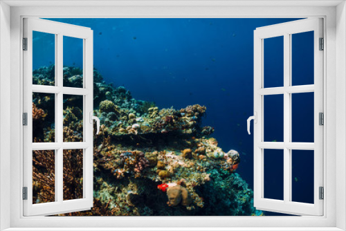 Fototapeta Naklejka Na Ścianę Okno 3D - Underwater view with rocks and corals in transparent blue ocean. Underwater landscape