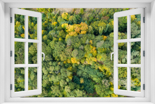Fototapeta Naklejka Na Ścianę Okno 3D - Autumn forest aerial drone view.