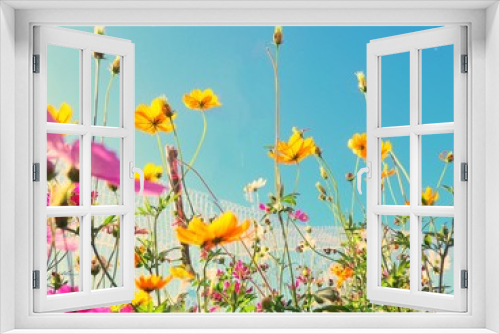 Fototapeta Naklejka Na Ścianę Okno 3D - field of poppy flowers