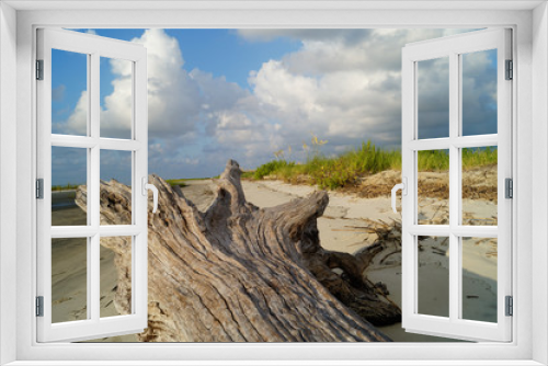 Fototapeta Naklejka Na Ścianę Okno 3D - Driftwood on a Beach