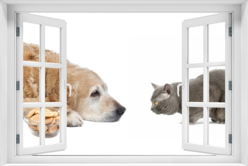 Fototapeta Naklejka Na Ścianę Okno 3D - Cat and dog