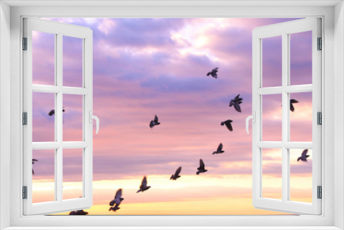 Fototapeta Naklejka Na Ścianę Okno 3D - 夕焼け空と鳩