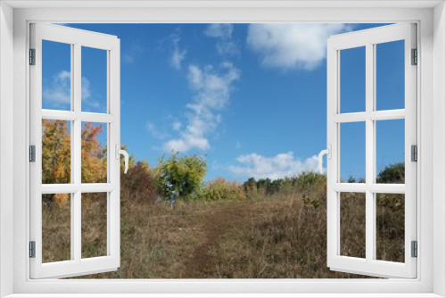 Fototapeta Naklejka Na Ścianę Okno 3D - Tree.nature.forest.landscape.autumn.