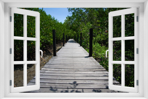 Fototapeta Naklejka Na Ścianę Okno 3D - Tropical mangrove forest at coast.