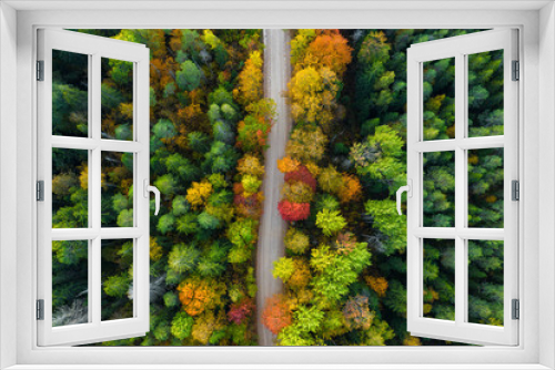 Fototapeta Naklejka Na Ścianę Okno 3D - Latvian autumn nature. Forest and road. View from the top.