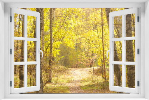 Fototapeta Naklejka Na Ścianę Okno 3D - Image of the path leading through the autumn birch grove