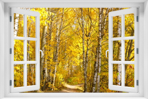 Fototapeta Naklejka Na Ścianę Okno 3D - Image of the path leading through the autumn birch grove