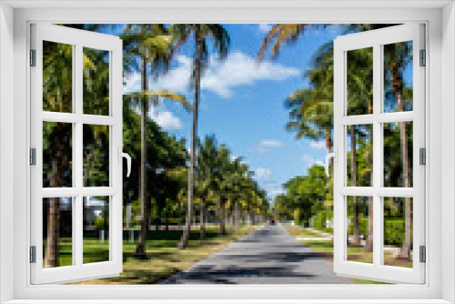 Fototapeta Naklejka Na Ścianę Okno 3D - Palm Route