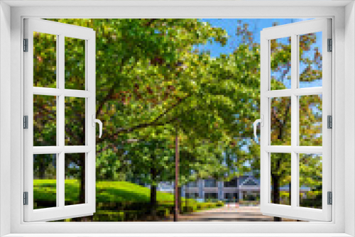 Fototapeta Naklejka Na Ścianę Okno 3D - 柏の葉公園の風景