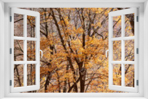 Fototapeta Naklejka Na Ścianę Okno 3D - Pennsylvania