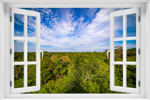 Fototapeta Naklejka Na Ścianę Okno 3D - Amazon forest from birdwatching tower