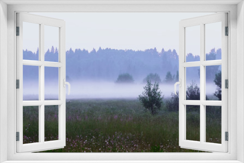 Fototapeta Naklejka Na Ścianę Okno 3D - Foggy Morning at the Forest Lawn
