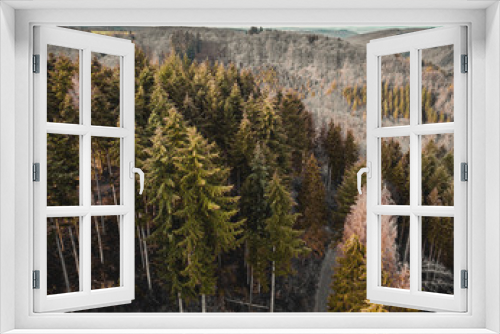 Fototapeta Naklejka Na Ścianę Okno 3D - Bosques de Alemania