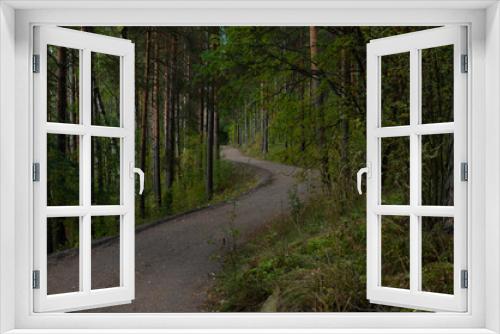 Fototapeta Naklejka Na Ścianę Okno 3D - road in the forest