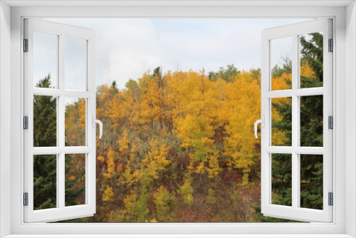 Fototapeta Naklejka Na Ścianę Okno 3D - Autumn On The Hill, Whitemud Park, Edmonton, Alberta