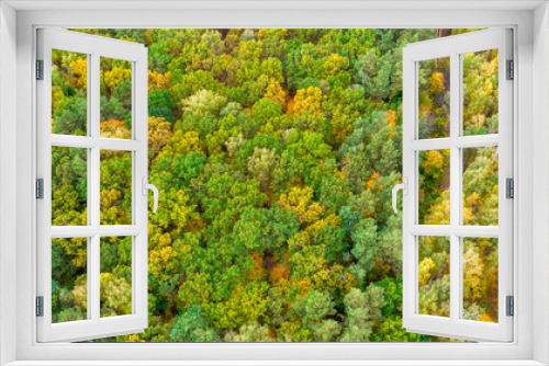 Fototapeta Naklejka Na Ścianę Okno 3D - The changing of the leaves on Crowder's Mountain, North Carolina. View from the Peak.