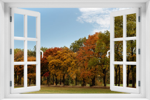 Fototapeta Naklejka Na Ścianę Okno 3D - Herbst am Fuße des Ohrdrufer Goldberges