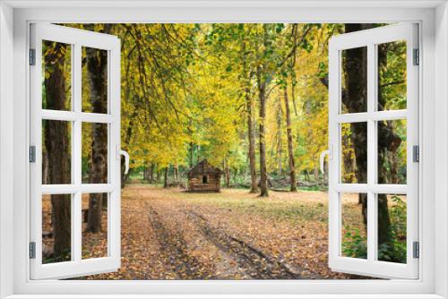 Fototapeta Naklejka Na Ścianę Okno 3D -  Autumn yellow color forest house forest nature hut