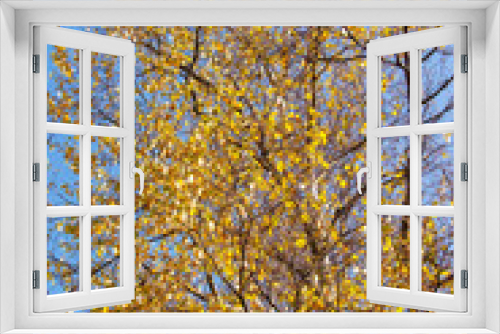 Fototapeta Naklejka Na Ścianę Okno 3D - Aspen Foliage and Branches