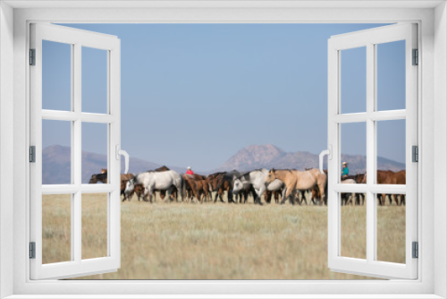 Fototapeta Naklejka Na Ścianę Okno 3D - Horse Herd