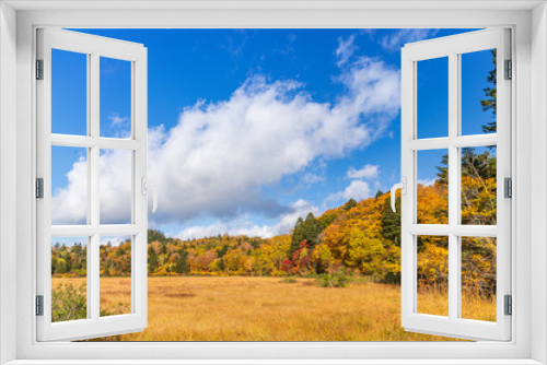 Fototapeta Naklejka Na Ścianę Okno 3D - Towada Hachimantai National Park in early autumn