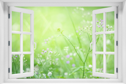 Fototapeta Naklejka Na Ścianę Okno 3D - Grass flower on green nature background.