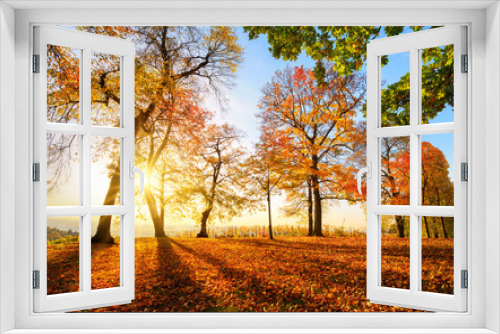 Fototapeta Naklejka Na Ścianę Okno 3D - Autumn scenery before sunset in a park, with blue sky, the sun and lots of red foliage