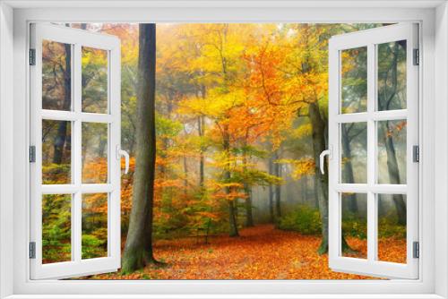 Fototapeta Naklejka Na Ścianę Okno 3D - Misty forest in autumn, with beautiful warm colors and cool, soft light falling through the foliage into a clearing