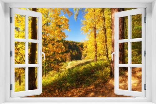 Fototapeta Naklejka Na Ścianę Okno 3D - European forest in autumn colors / landscape