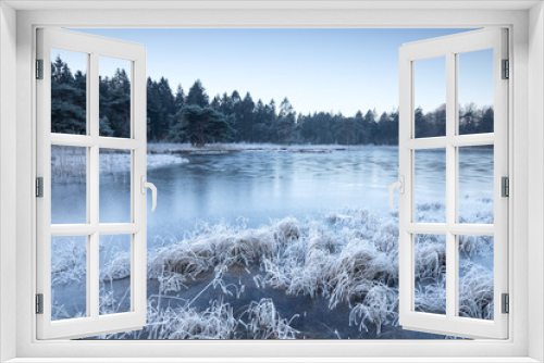 Fototapeta Naklejka Na Ścianę Okno 3D - wild forest lake frozen on winter morning
