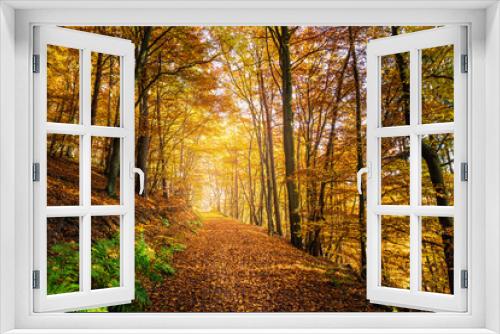 Fototapeta Naklejka Na Ścianę Okno 3D - Landschaft im Herbst mit Wald bei strahlendem Sonnenschein