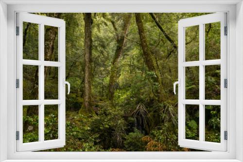 Fototapeta Naklejka Na Ścianę Okno 3D - NZ wildnis