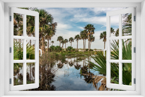 Fototapeta Naklejka Na Ścianę Okno 3D - reflections of palm trees on hunting island south carolina